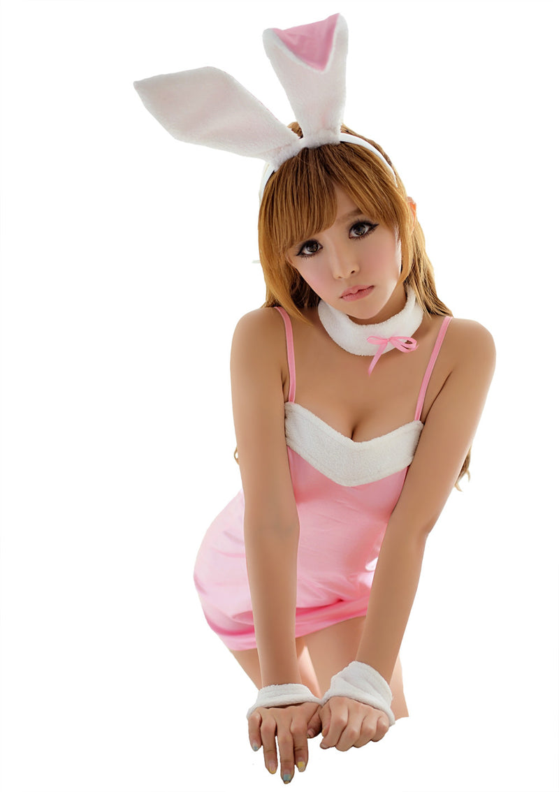LINGERIECATS Sexy Classic 4pcs Bunny Girl Outfit Cosplay Costume Set - LingerieCats