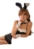 LINGERIECATS Sexy Classic 4pcs Bunny Girl Outfit Cosplay Costume(Black)